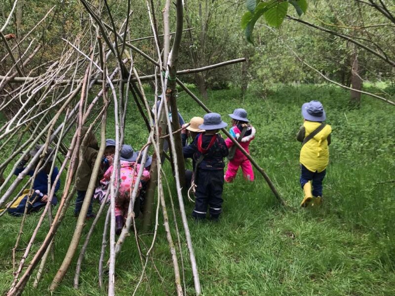 Wild in the Woods in action at the Gelder Environmental Park.